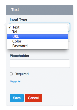 UnexplainableSolutions - Form Builder - Input Type